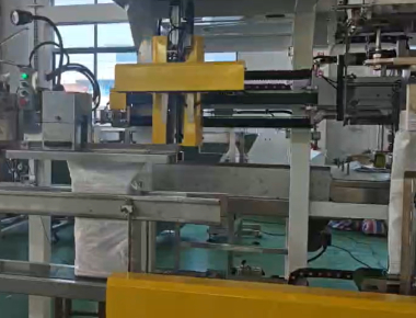 Ποιότητα  Dual-Lane Salt Packaging Machine Line - High-Capacity Salt Packaging Solution Εργοστάσιο