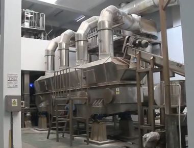 Βιομηχανικής κλίμακας αλατισμένη μηχανή καθαρισμού γραμμών παραγωγής αλατισμένη