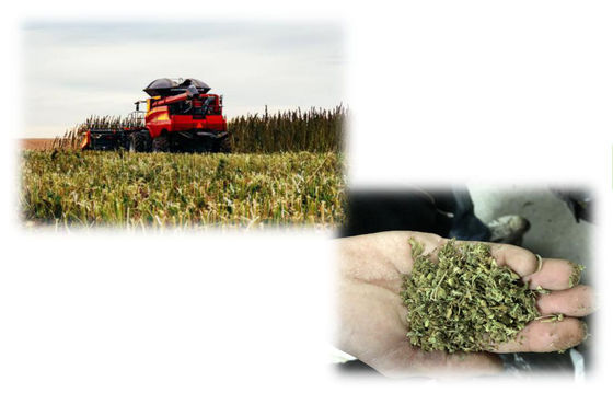 Μηχανή εξαγωγής εξαγωγής CBD THC, μικρής κλίμακας εξοπλισμός εξαγωγής CBD